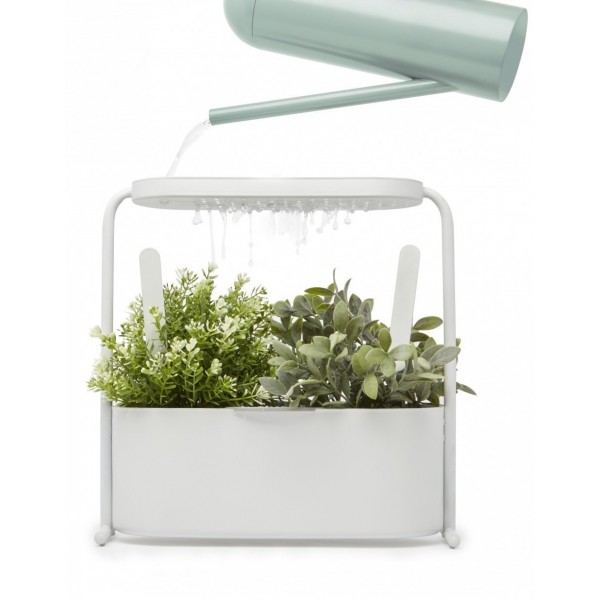 Giardino Blanco