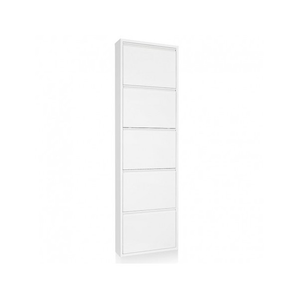 Zapatero Metal 5 Puertas