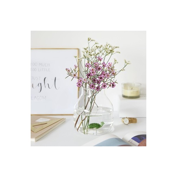 Florero Atlantis Tortuga