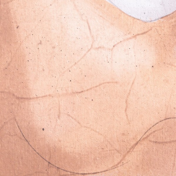 Cuadro Mujer Naranja