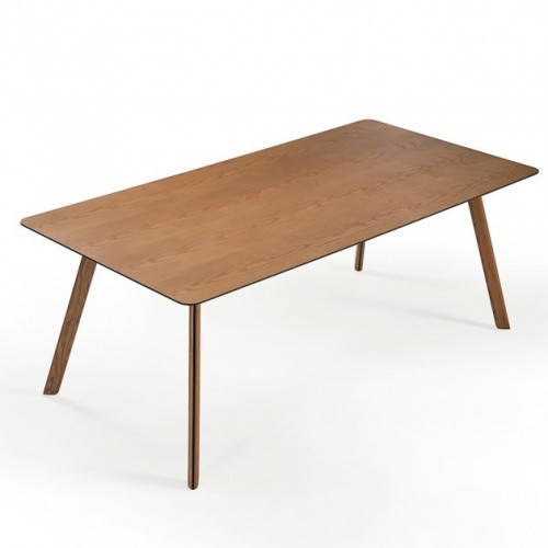 Mesa Tortuga Rectangular 2