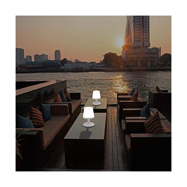 Light To Go Lámpara