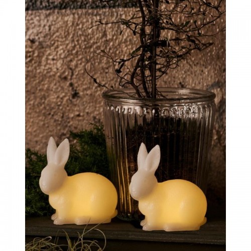 Conejo Elin Set de 2