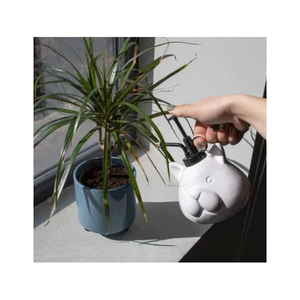 Pulverizador Plantas Gato