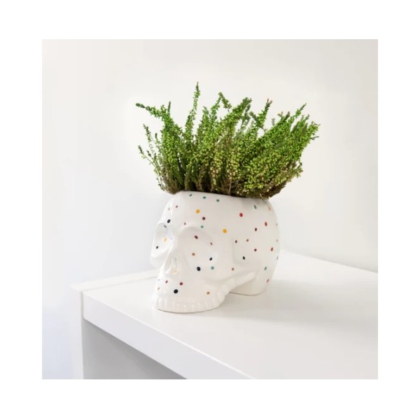 Macetero Calavera Lunares