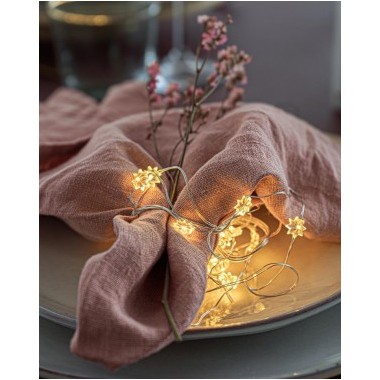 Guirnalda Flower 20 Led