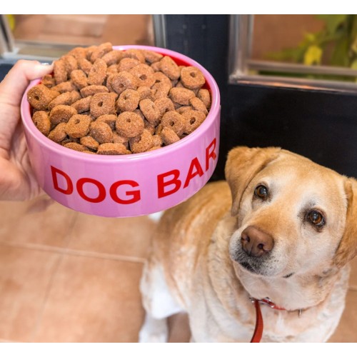 Comedero “Dog bar” 2