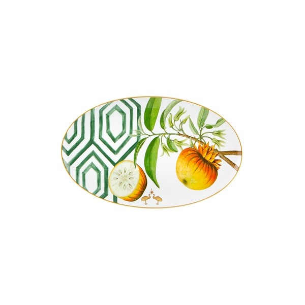 Vajilla Amazónia 66 Piezas