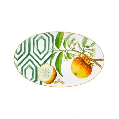 Vajilla Amazónia 66 Piezas