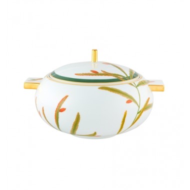 Vajilla Amazónia 66 Piezas