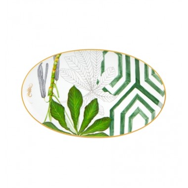 Vajilla Amazónia 66 Piezas