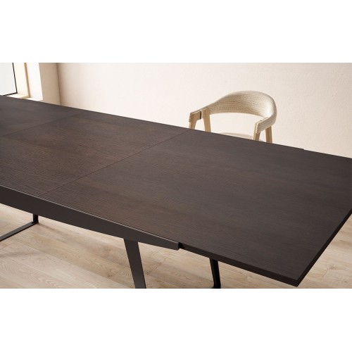 Mesa Extensible Blumter 2