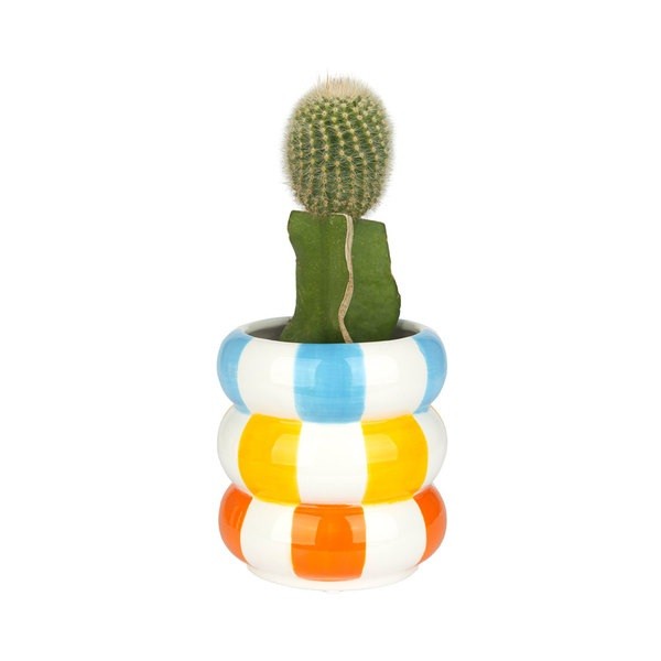 Maceta Floats Multicolor