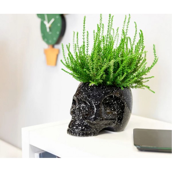 Macetero Calavera Galaxia