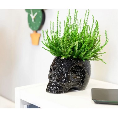 Macetero Calavera Galaxia