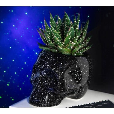 Macetero Calavera Galaxia