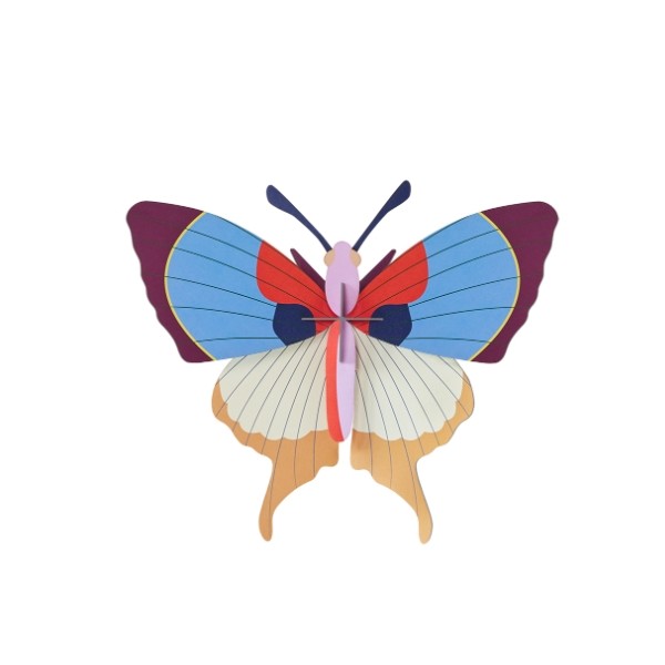 Mariposa Ciruela