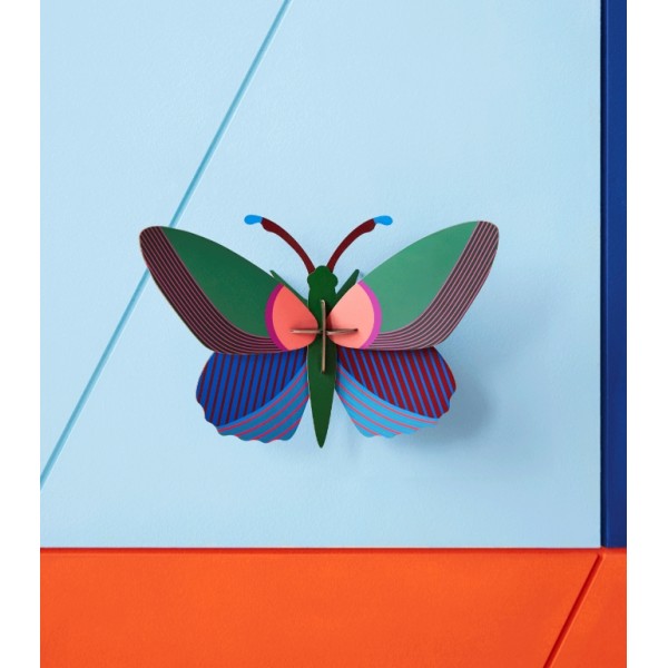 Mariposa de Acacia