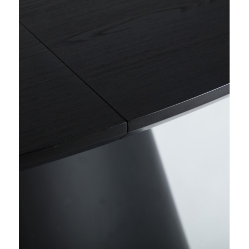 Mesa Extensible Lizant 2