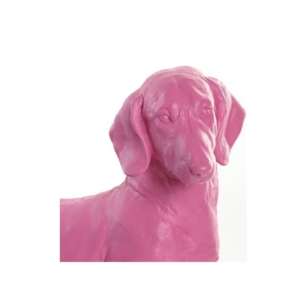 Perro Salchicha Pink