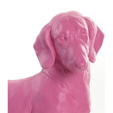 Perro Salchicha Pink