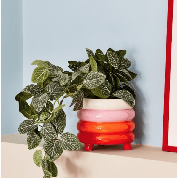 Macetero Pablo Amor del Color Que Rico