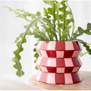 Macetero Teodora Crazy Squares Que Rico