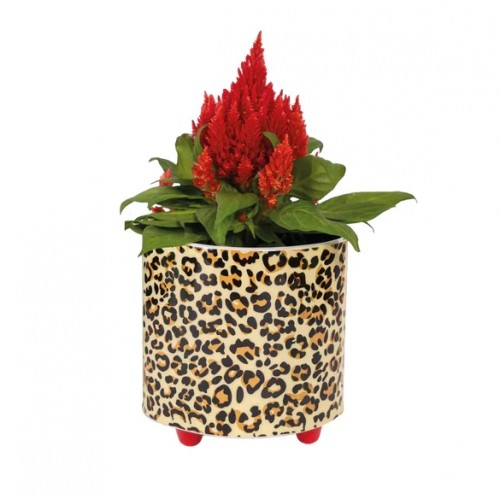 Macetero “Leopardo”