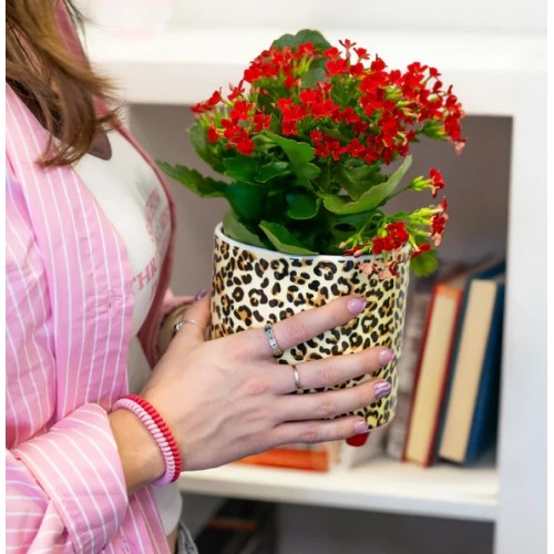 Macetero “Leopardo” 2