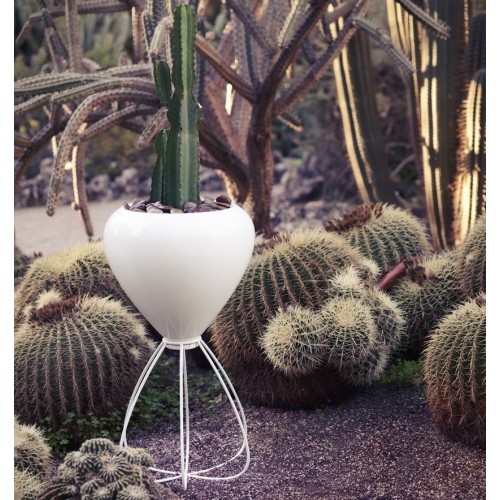 Macetero Spaghetti 2